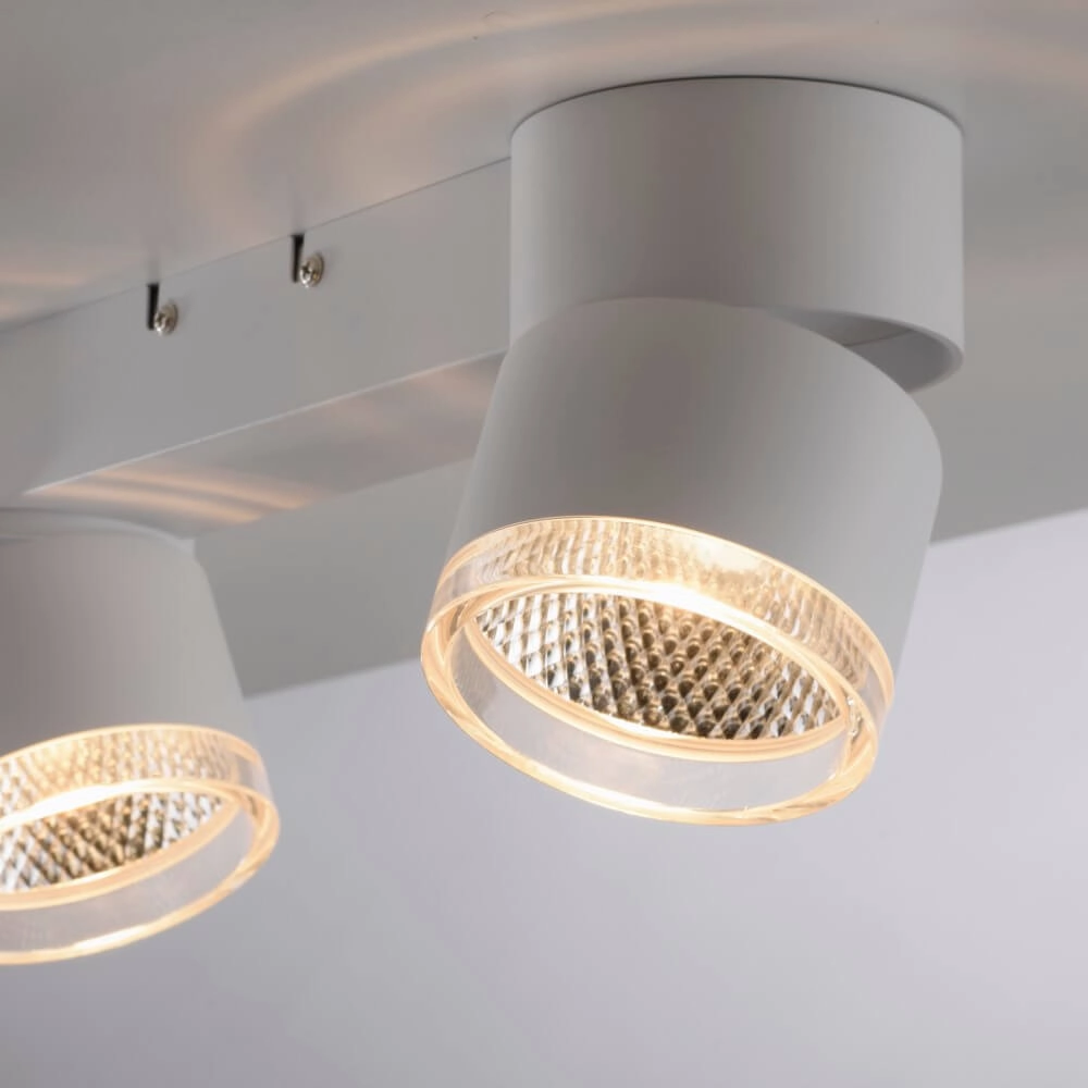 Witte plafondlamp Pure Nola 2-lichts Paul Neuhaus 4012248374542
