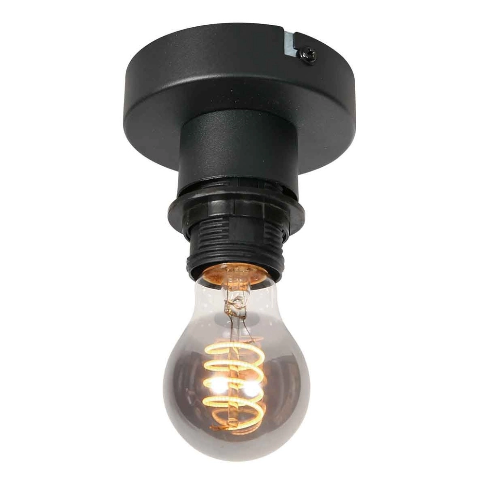 Plafondlamp Bloeba bol smoke glas Ø 15cm Steinhauer 8712746181081