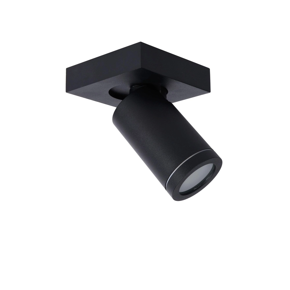 Plafondspot Taylor IP44 enkel zwart