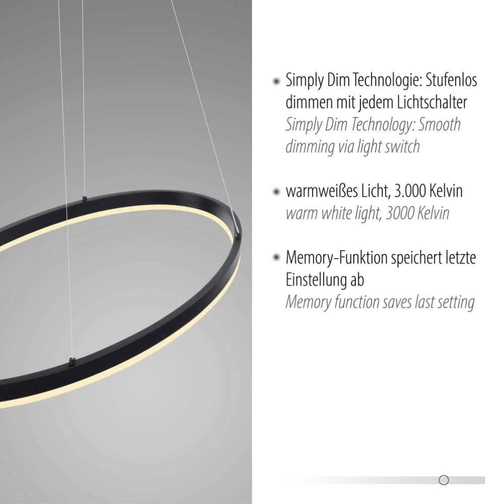 Antraciete hanglamp Titus Ø 80cm Paul Neuhaus 4012248375211