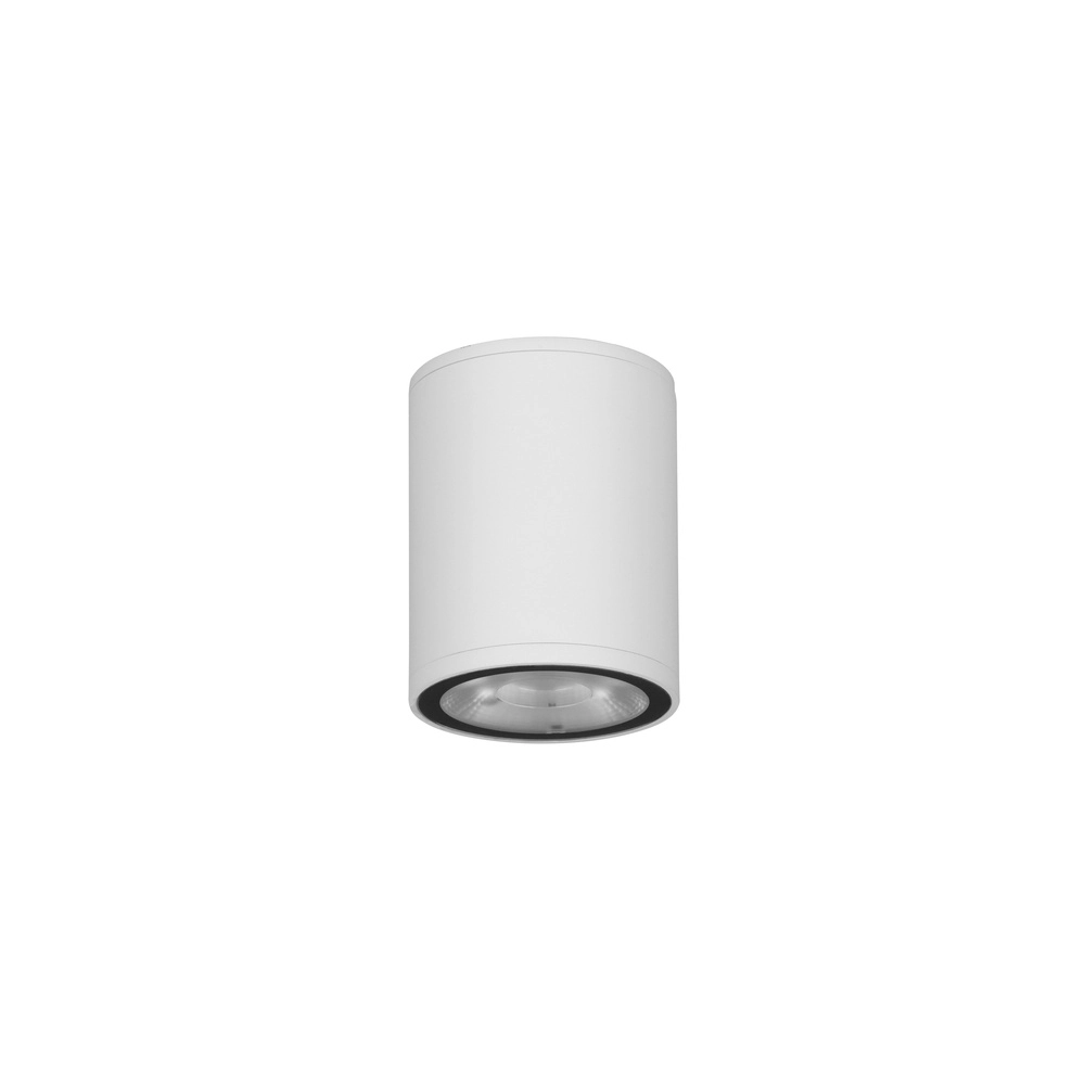 Plafondspot Lumina 9W wit Lyora 5212017453914