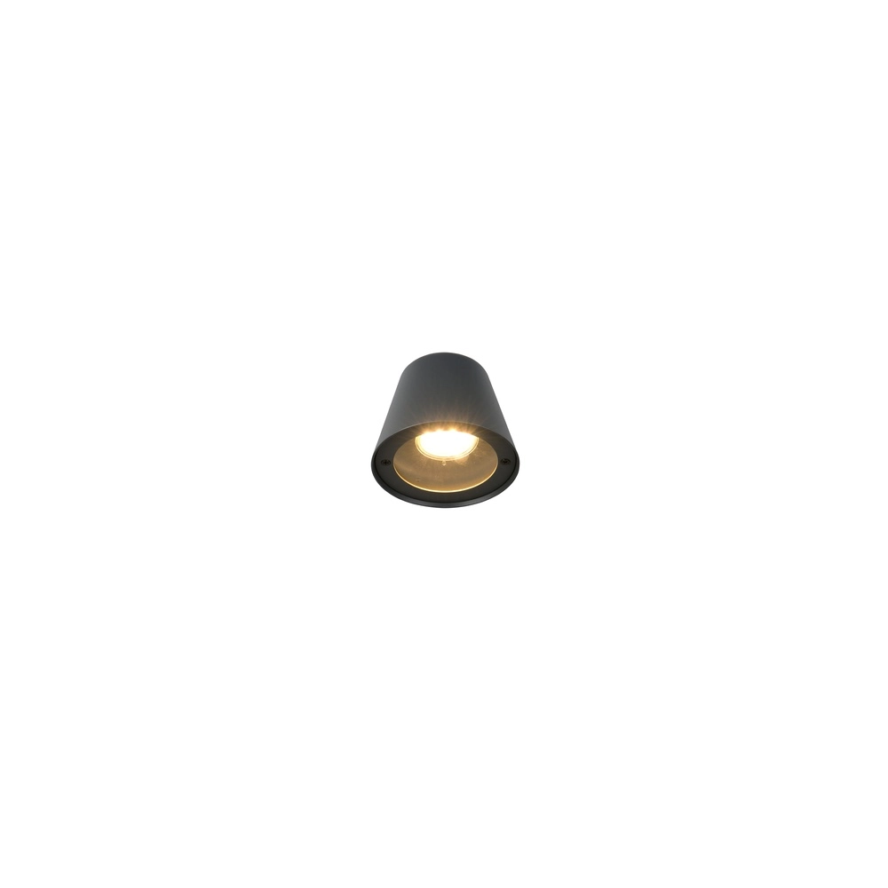 Wandlamp Beni zwart Trio 4017807691412