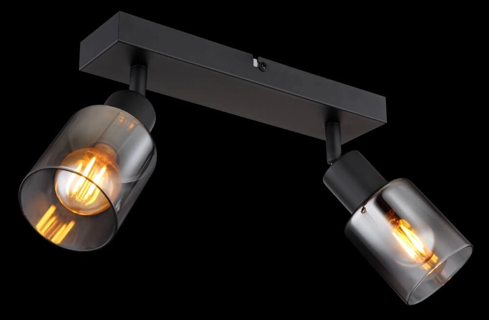 Plafondlamp Hubertus 2-lichts Globo 9007371449019