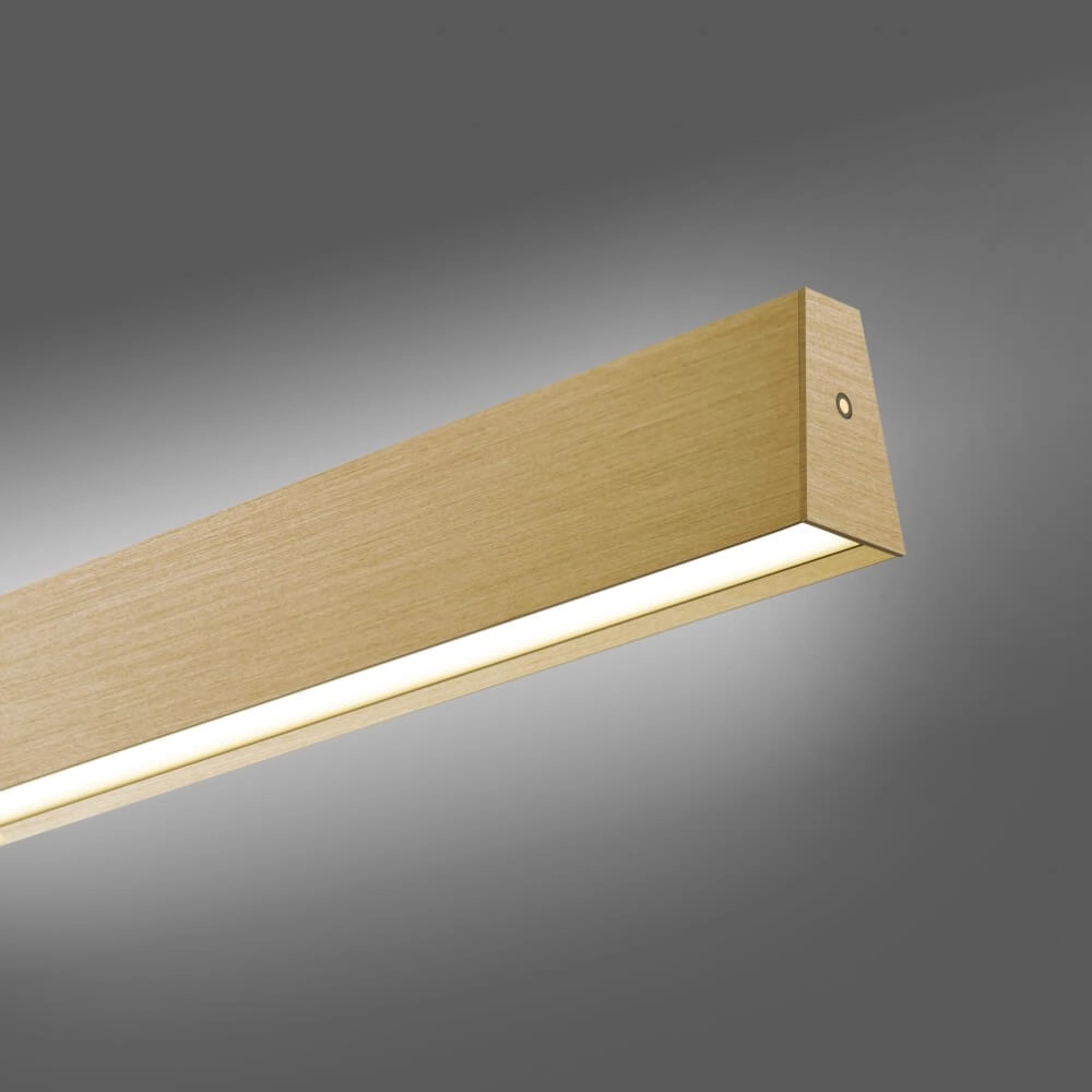 Design hanglamp Pure E-Motion messing Paul Neuhaus 4012248372913