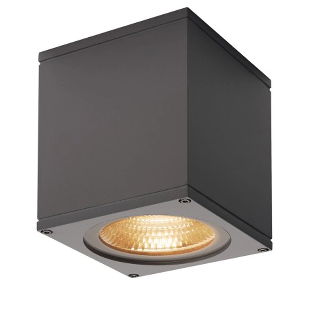 Led spot Big Theo voor buiten