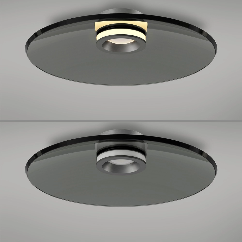 Plafondlamp Pure Moon Ø 50cm - platin met smoke glas Paul Neuhaus 4012248386347