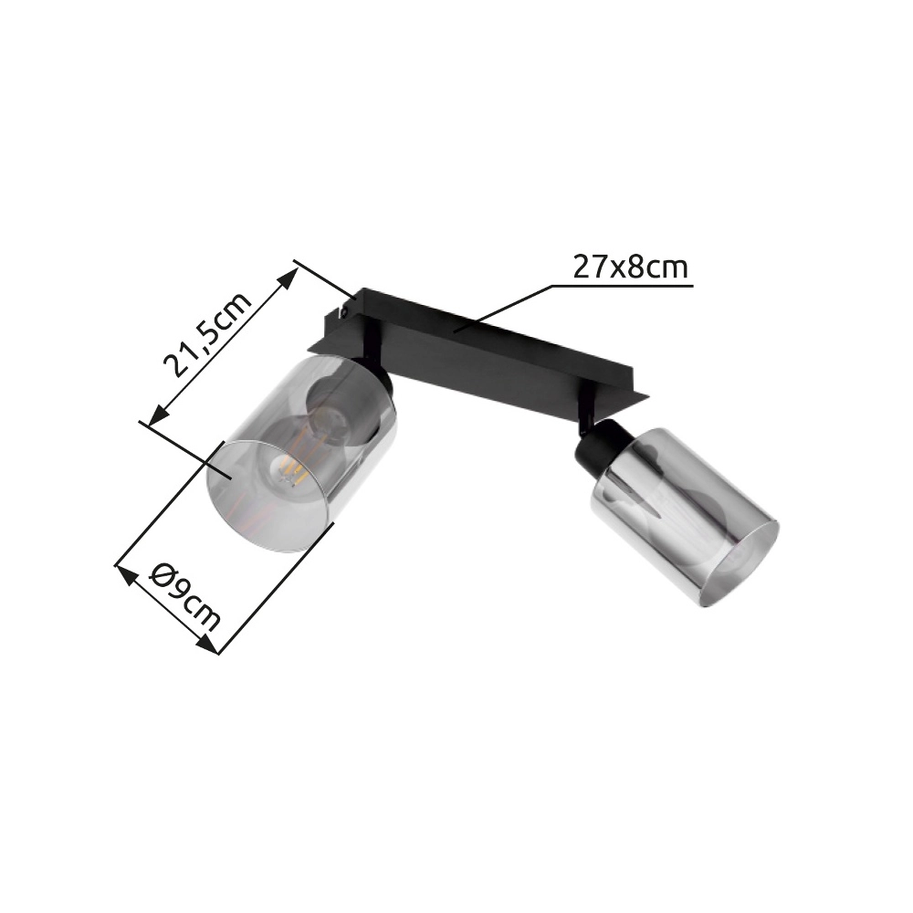 Plafondlamp Hadera 2-lichts zwart met smoke glas Globo 9007371440214