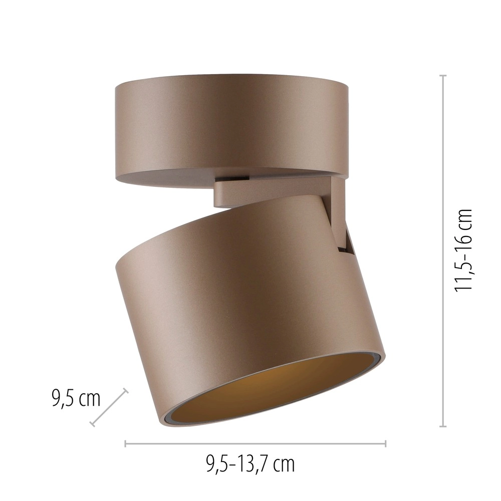 Strakke opbouwspot Pure Cup bronce Paul Neuhaus 4012248395592