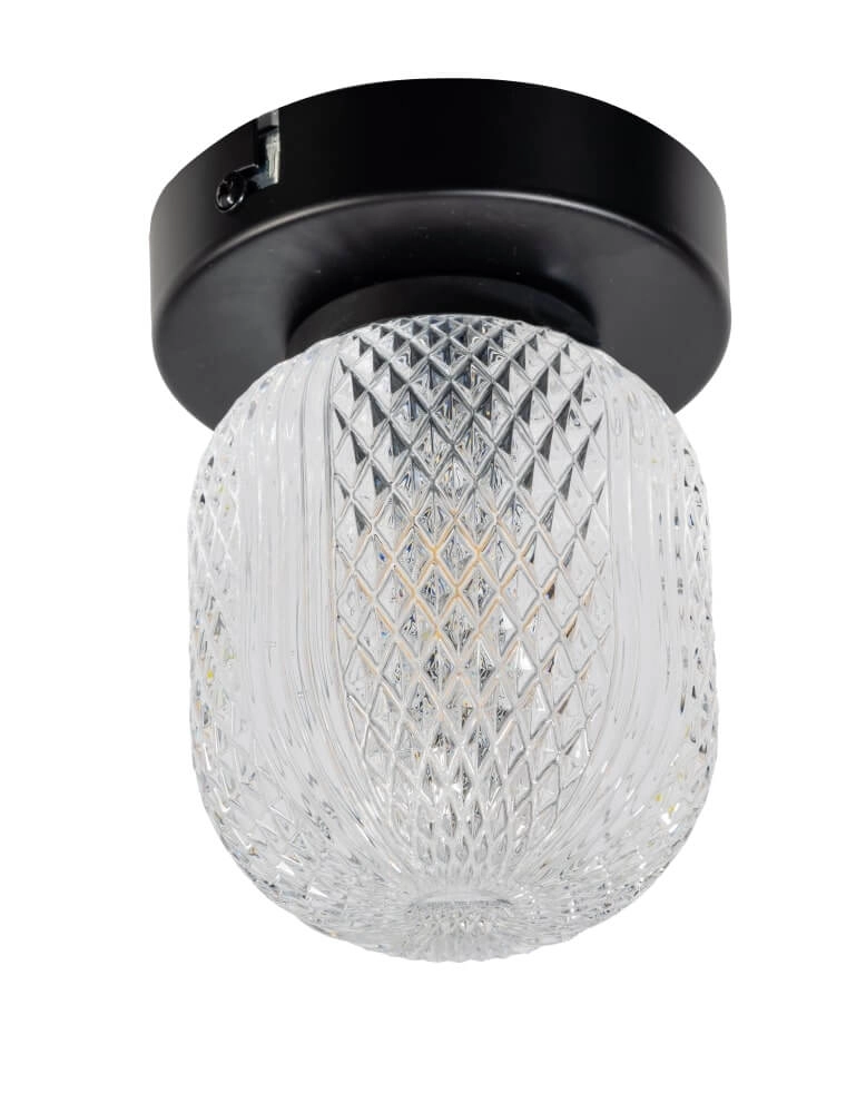 Unieke plafondlamp Kristel 1-lichts zwart