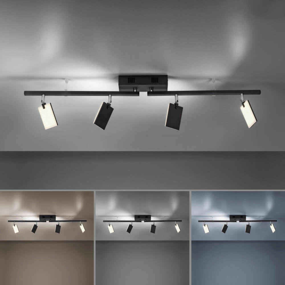 Plafondlamp Pure Mira 4-lichts zwart Paul Neuhaus 4012248359457