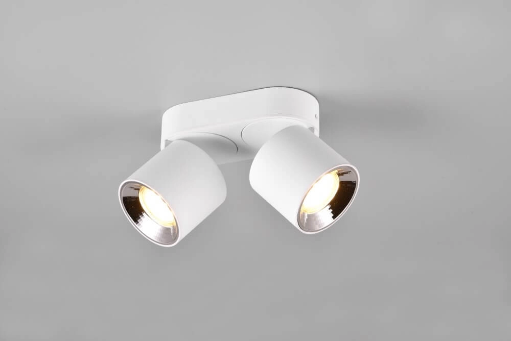 Plafondlamp Guayana 2-lichts wit Trio 4017807573954