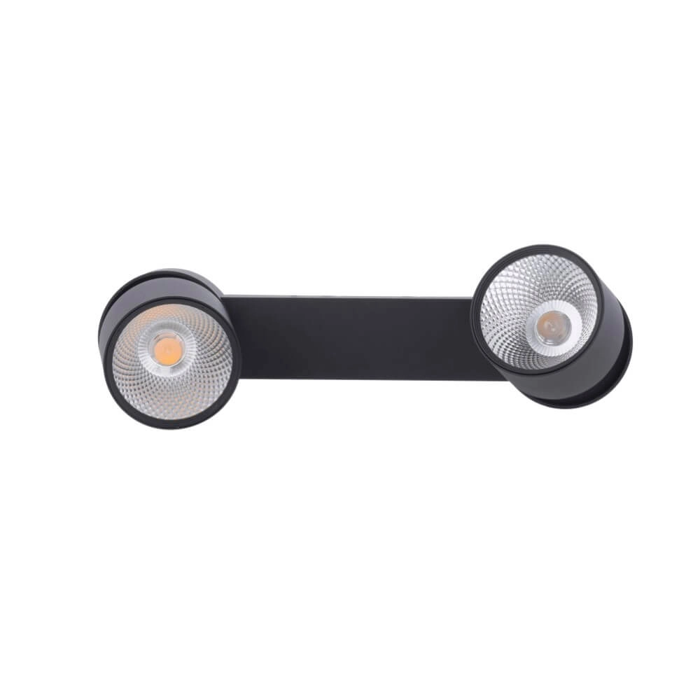 Plafondlamp Pure Nola 2-lichts zwart Paul Neuhaus 4012248372005