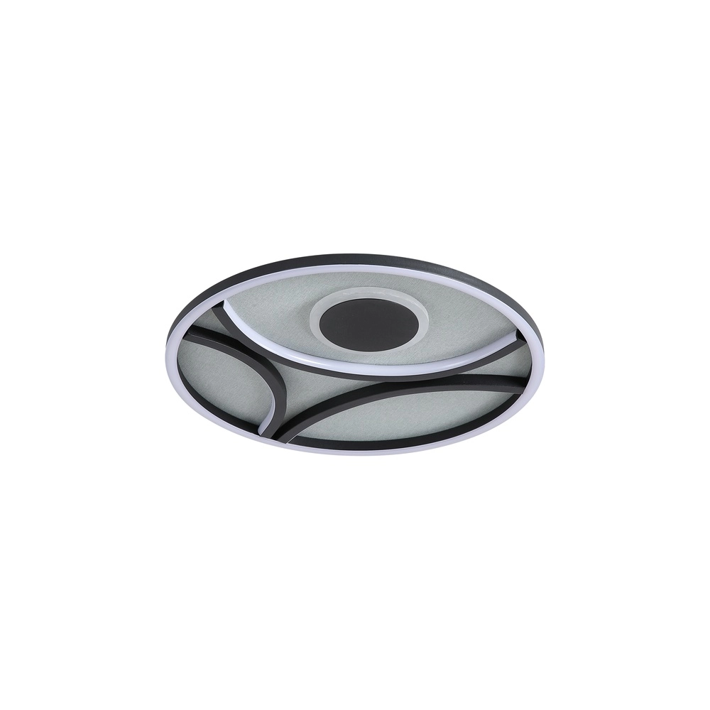 Plafonniere Zendisc zwart