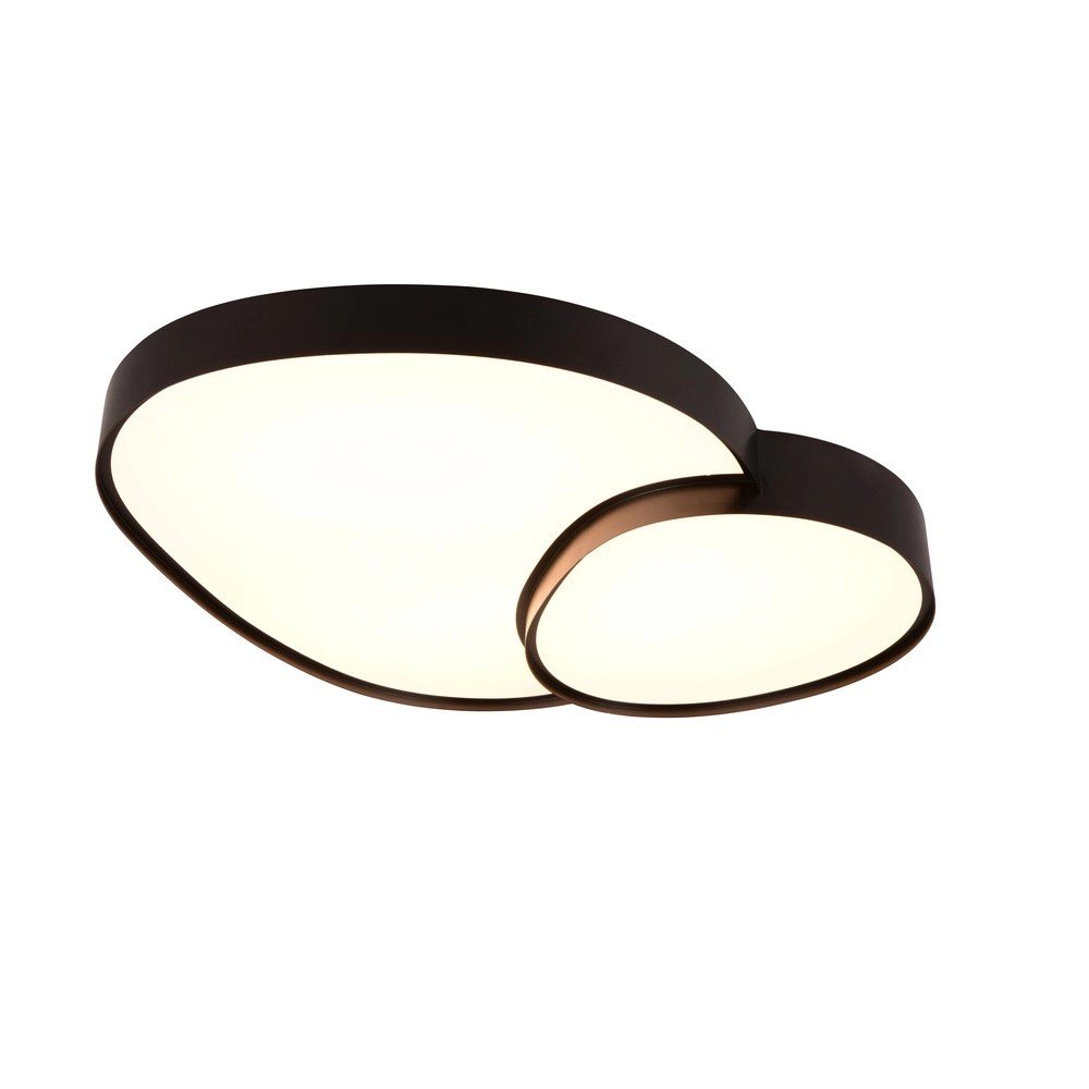 Organische plafonniere Rise 77cm zwart