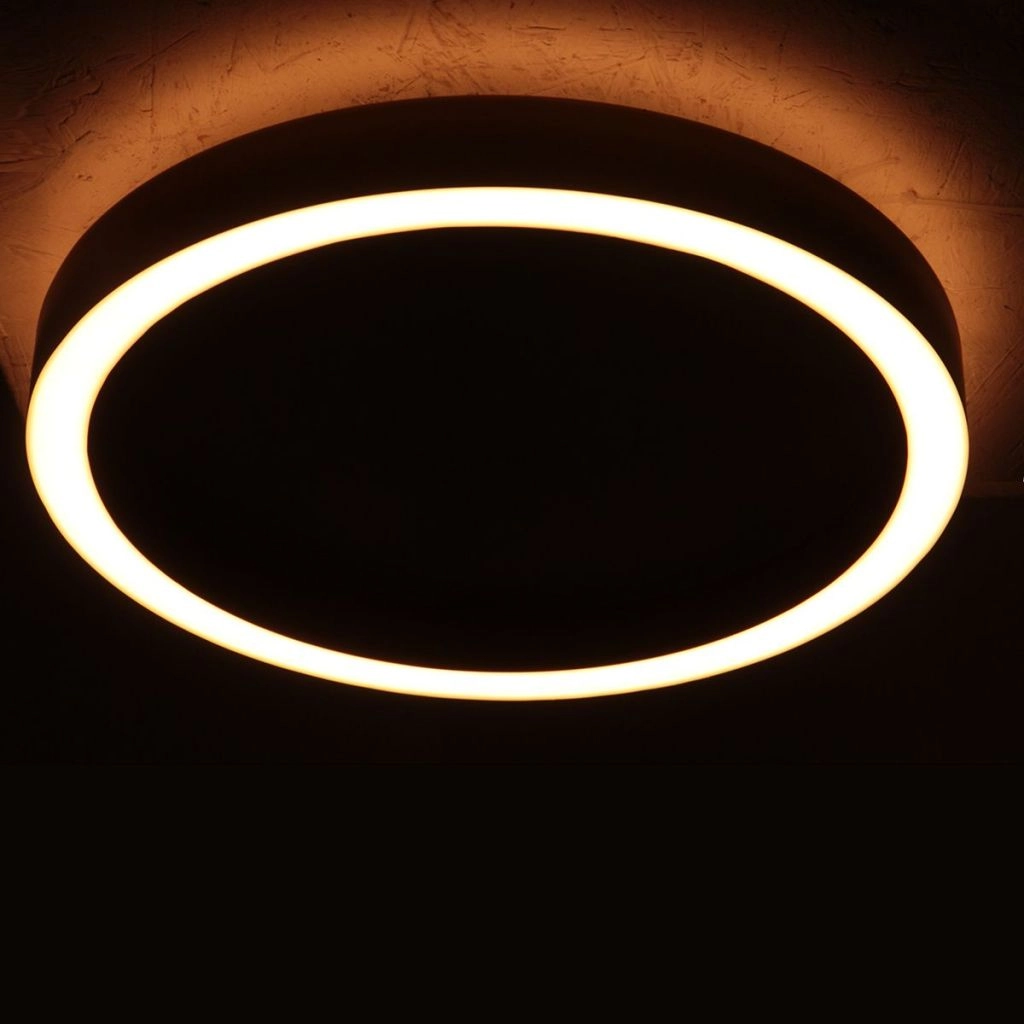 Design plafondlamp Ringlux geborsteld metaal Ø 40cm Steinhauer 8712746180930