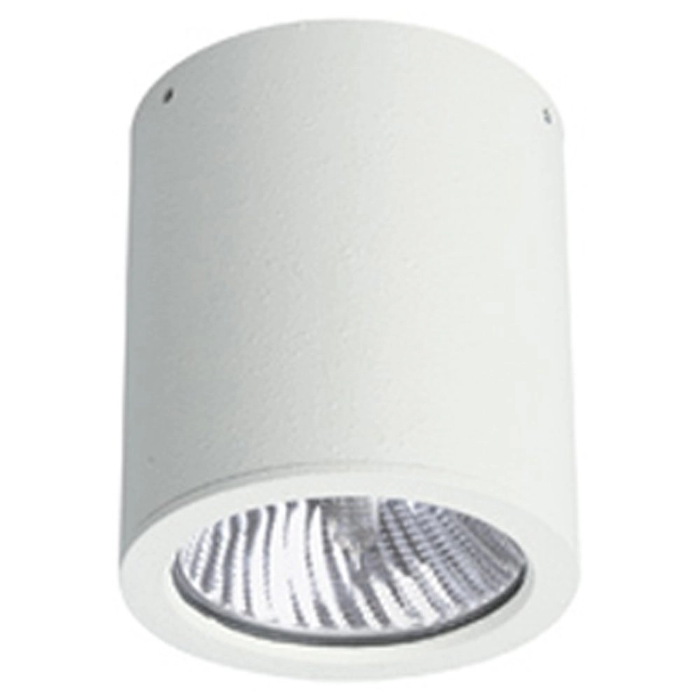 Led spot Yori 12w - wit