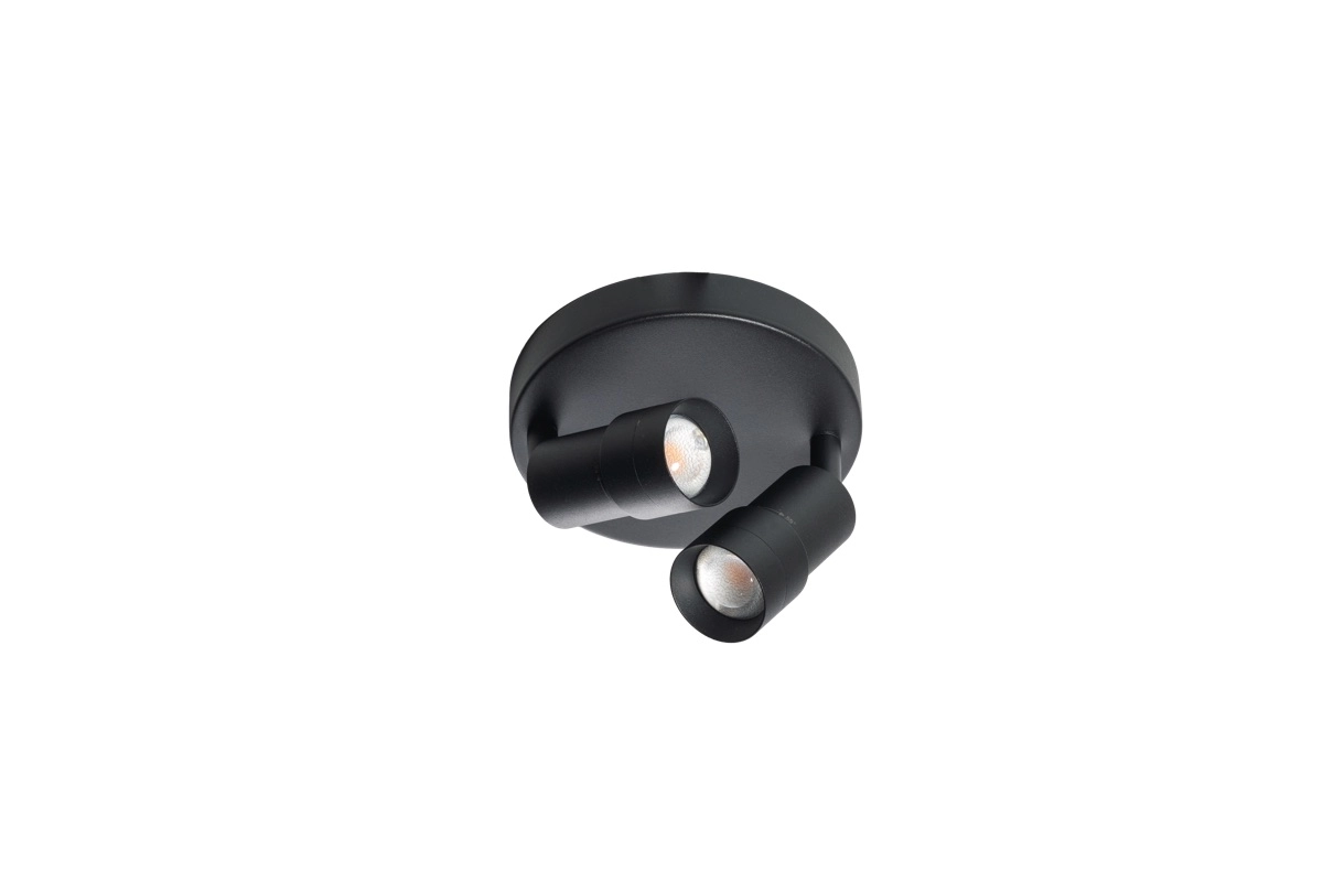 Opbouw spot 2x led Liam zwart - rond