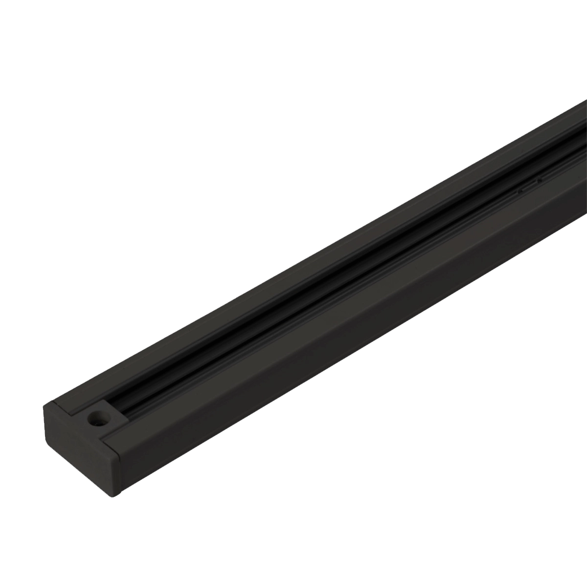 2 meter rail TraQ zwart