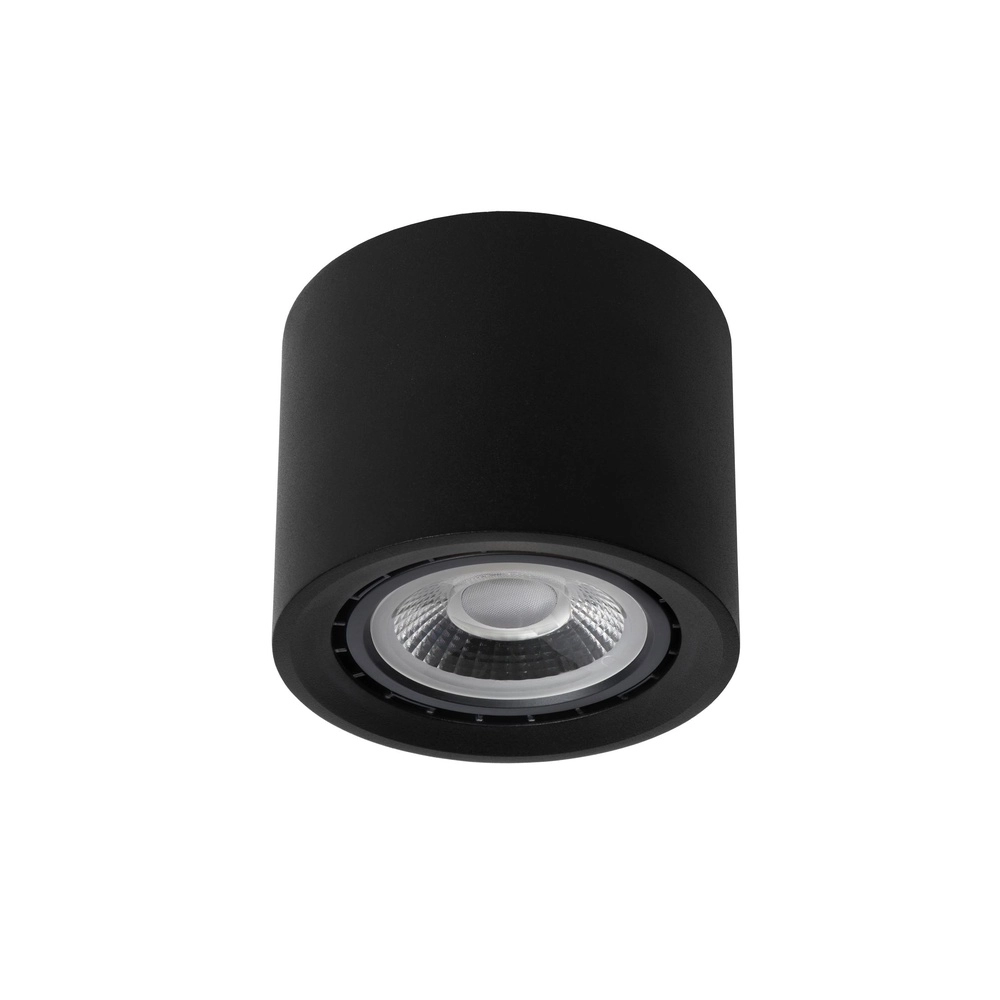 Plafondspot Ø 12cm Fedler GU10 ES111 zwart