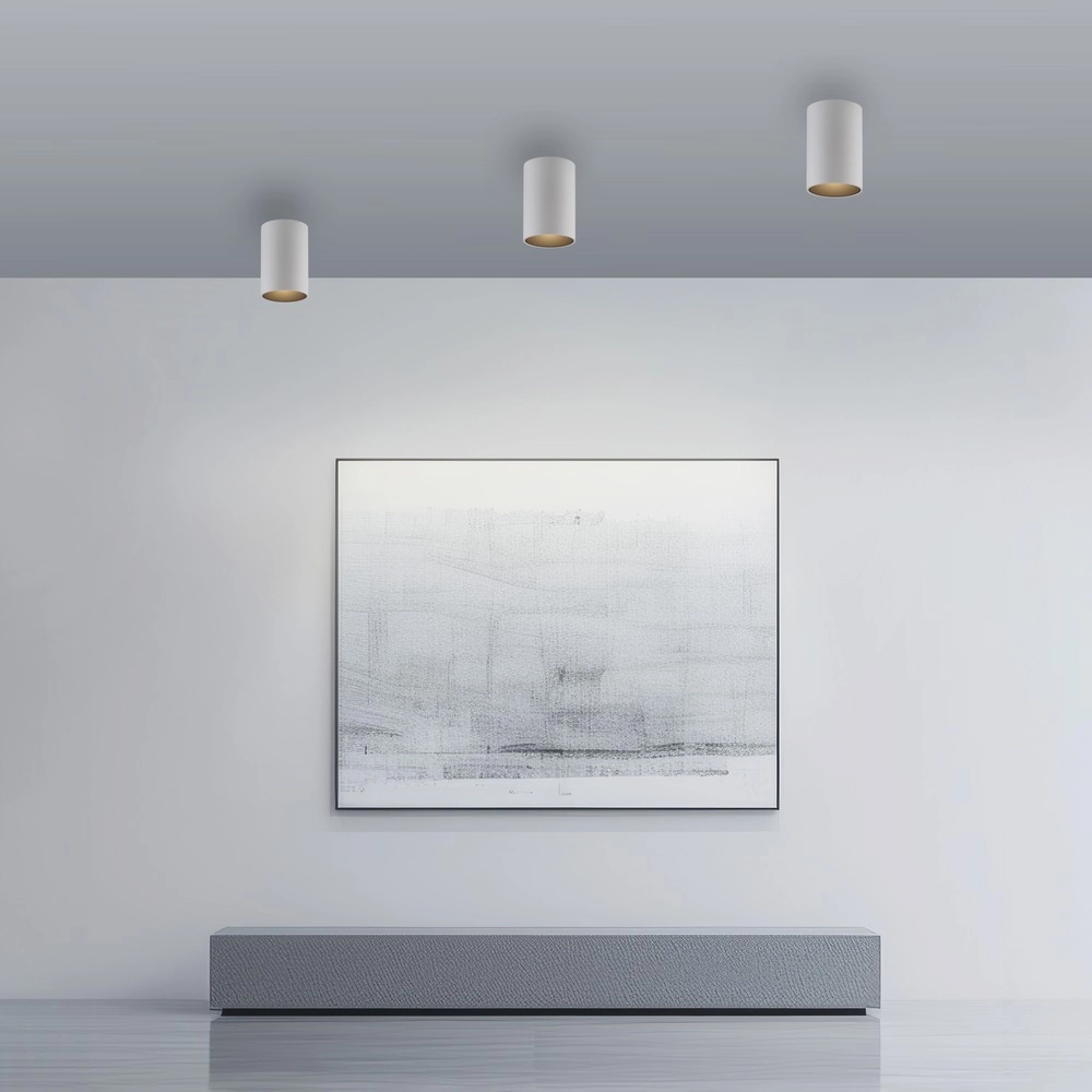 Plafond opbouwspot Pure Point Ø 6cm - wit Paul Neuhaus 4012248395660