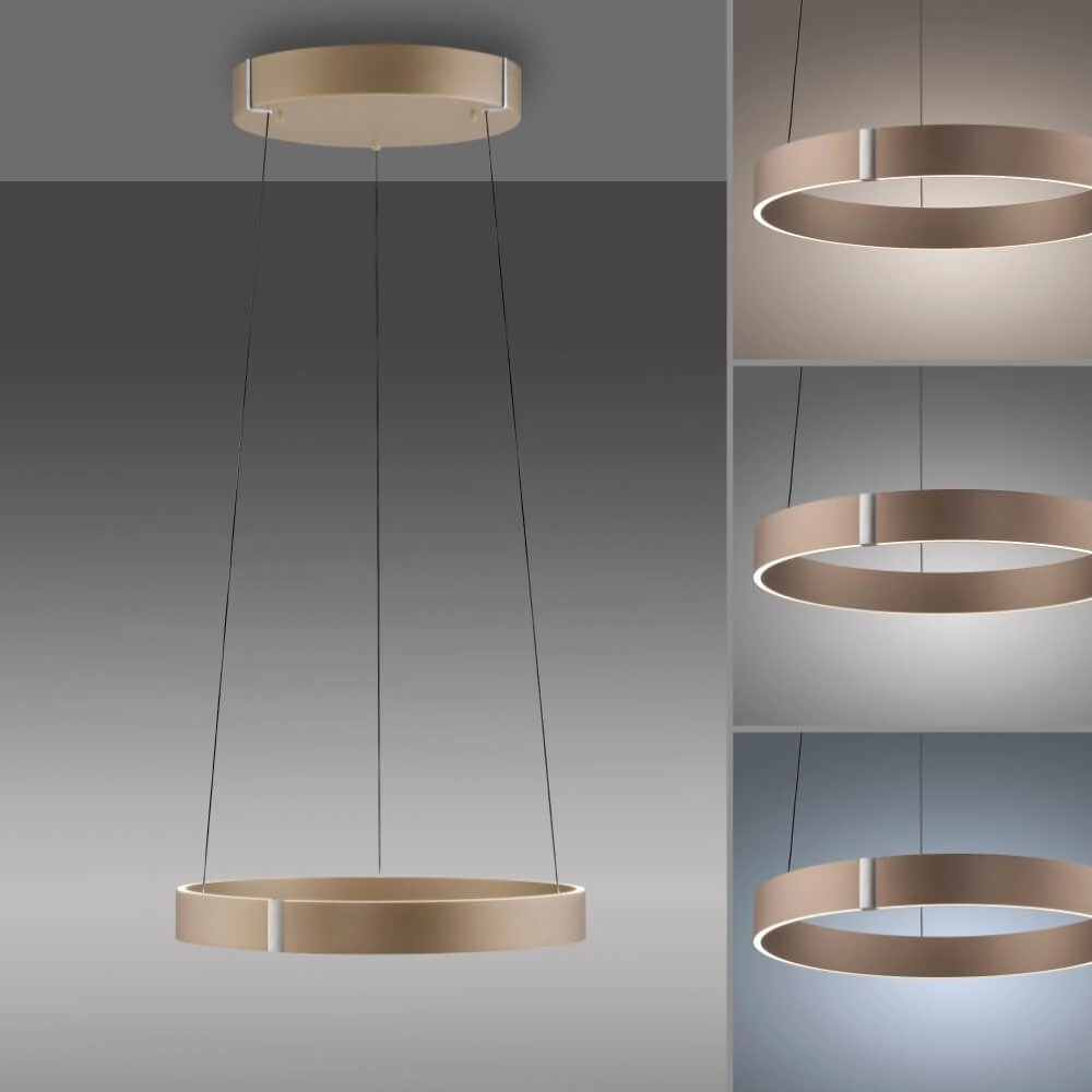 Ronde hanglamp Pure E-Clipse brons Ø 50cm Paul Neuhaus 4012248386408