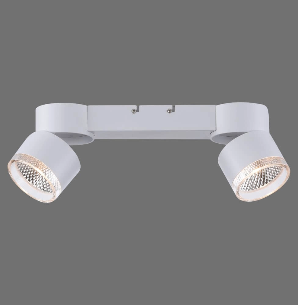 Witte plafondlamp Pure Nola 2-lichts Paul Neuhaus 4012248374542