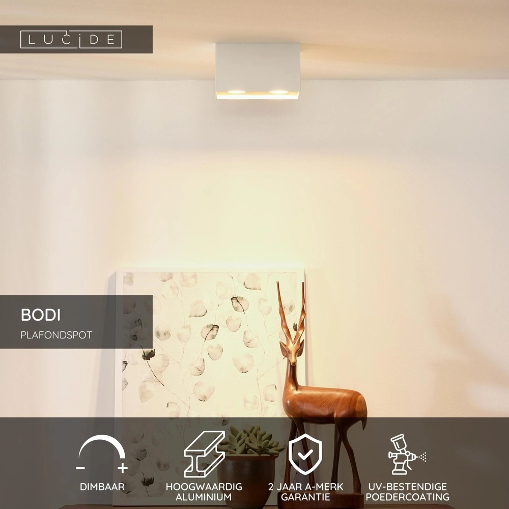 Plafondspot Bodi 2-lichts wit Lucide 5411212091598