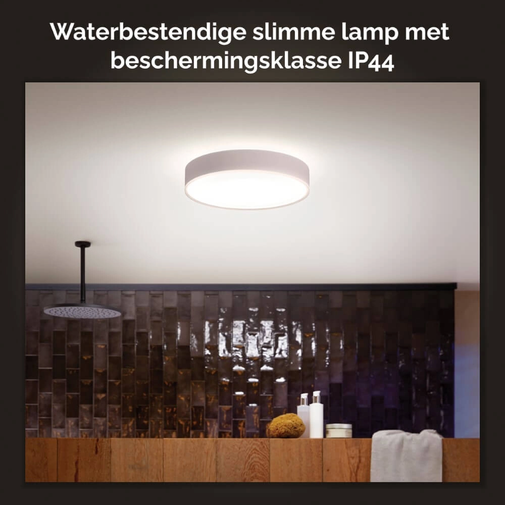 Hue Devere L - White Ambiance Ø 18,8cm Philips 8718696176542