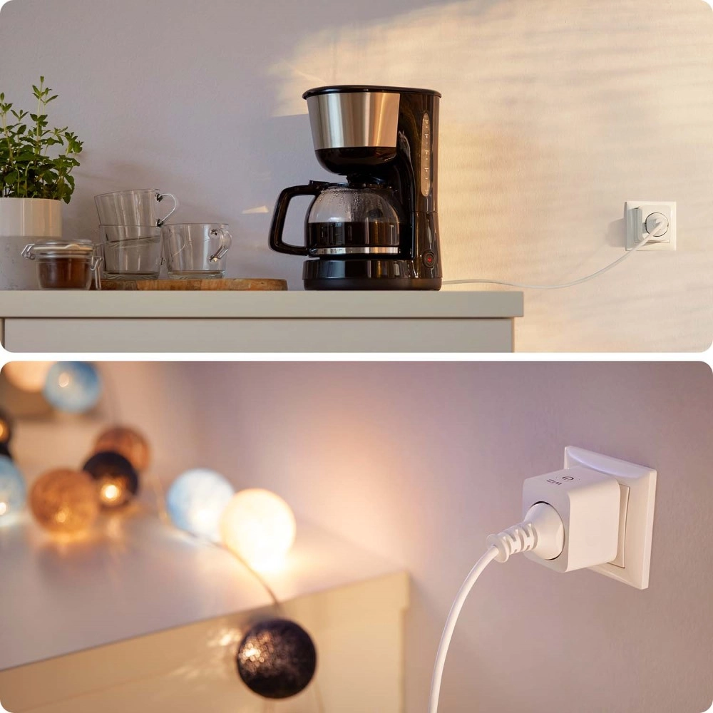 smart plug Type E (NL/EU) WiZ 8718699789329