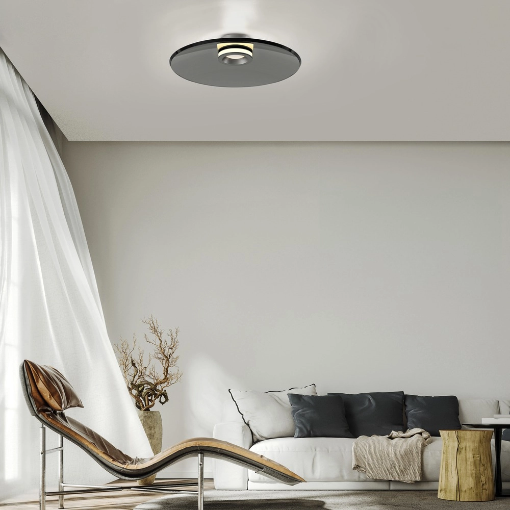 Plafondlamp Pure Moon Ø 50cm - platin met smoke glas Paul Neuhaus 4012248386347