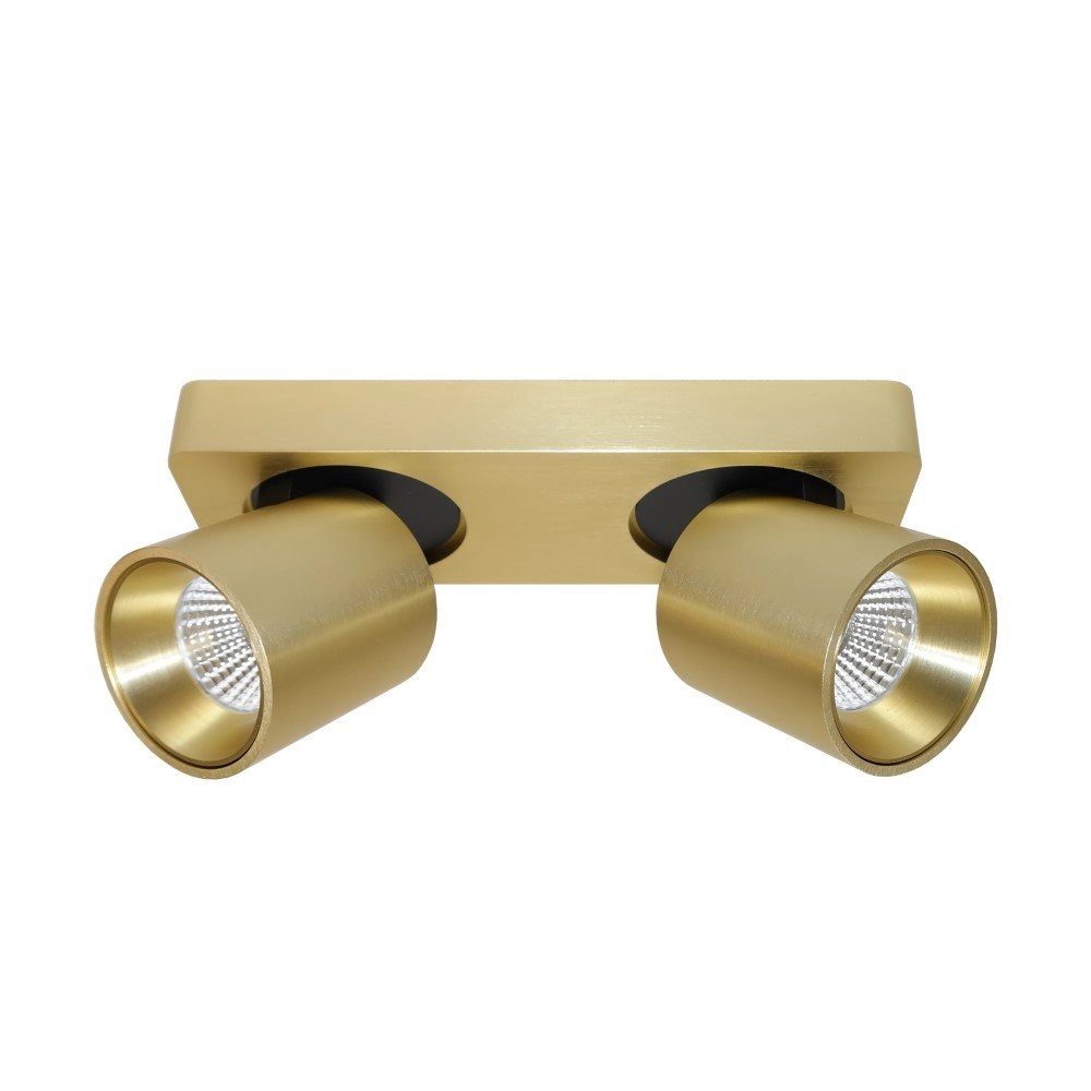 Led opbouwspot Laguna 2-lichts goud