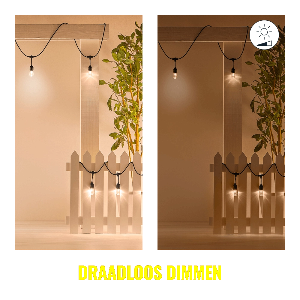 String Lights met 12 slimme sfeerlampjes WiZ 8719514554450