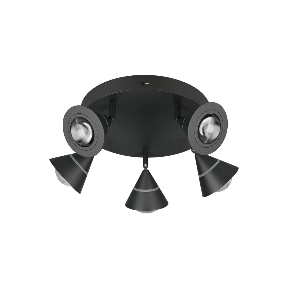 Plafondlamp Romeo zwart Trio 4017807670417