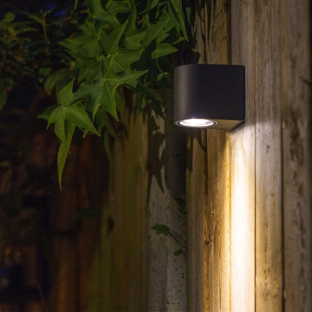 LED garden spot Gilvus 12v Down black GardenLights 5907800859027