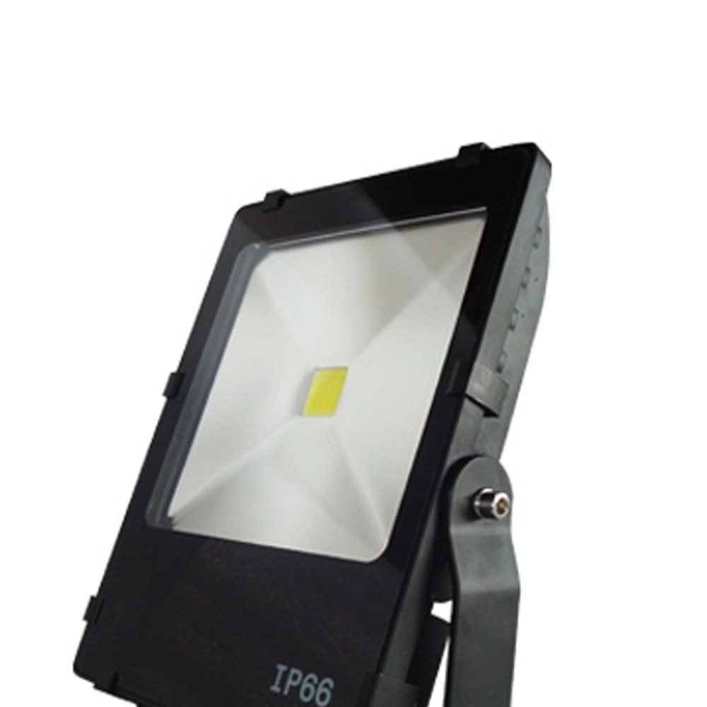 Ledspot Floodlight Franssen 8717064119686