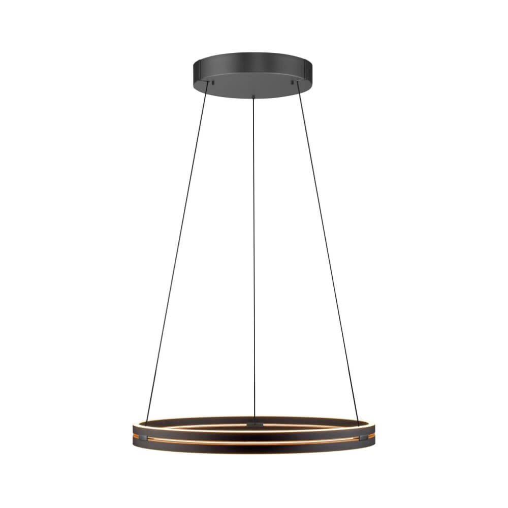Strakke hanglamp Pure E-Loop zwart Ø 70cm Paul Neuhaus 4012248384336